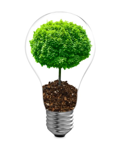 Sustainable Schools Sustainable Schools