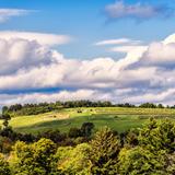 The Mountain School of Milton Academy Photo #19 - Garden Hill